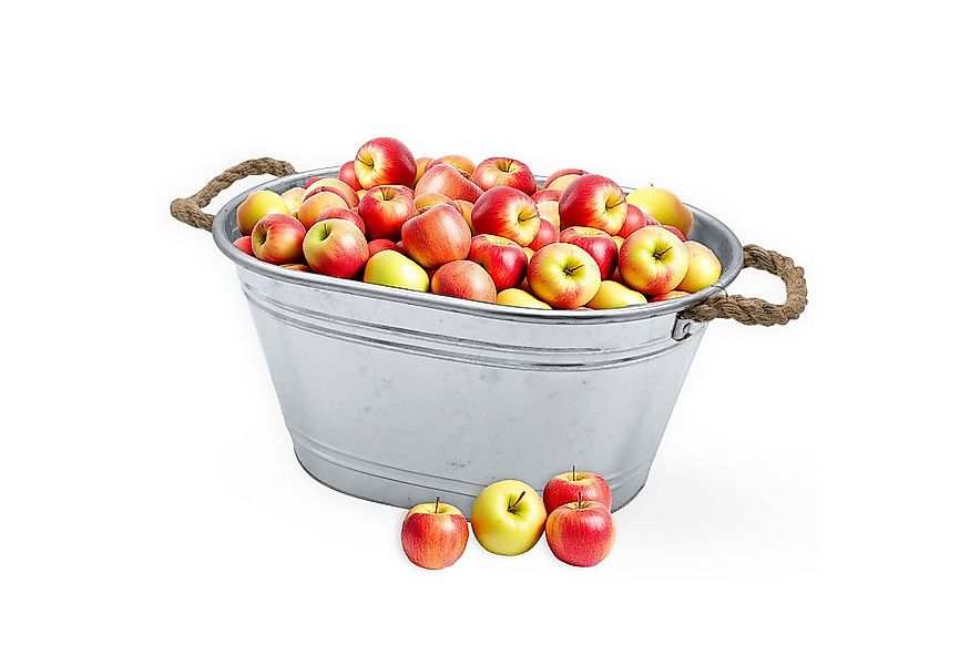 Spetebo Pflanzkübel Zinkwanne in silber mit Natur Seil Griffen (Anzahl, 1 S günstig online kaufen