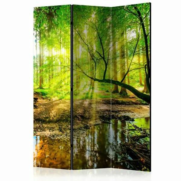 artgeist Paravent Forest Stream [Room Dividers] mehrfarbig Gr. 135 x 172 günstig online kaufen