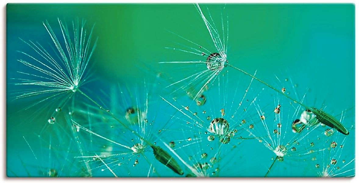 Artland Wandbild »Glitzernde Pustblumen mit Wassertropfen«, Blumen, (1 St.) günstig online kaufen