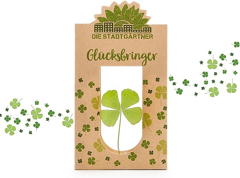 Trockenblume Natürliche Geschenke für alle Gefühle: Wünsche, Glück, Liebe & günstig online kaufen