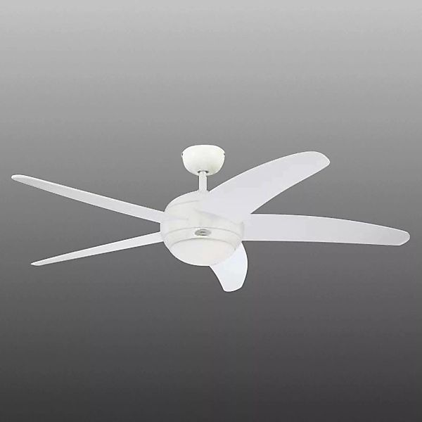 Westinghouse Deckenventilator Bendan günstig online kaufen