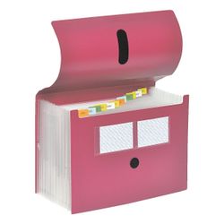 FOLDERSYS Fächermappe, 12 Fächer (dehnbar) günstig online kaufen