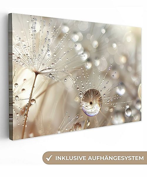OneMillionCanvasses® Leinwandbild Natur - Blumen - Tropfen - Regen, Fotodru günstig online kaufen
