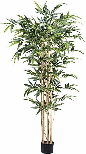 Kunstbaum Bambus Bambus, Creativ green, Höhe günstig online kaufen