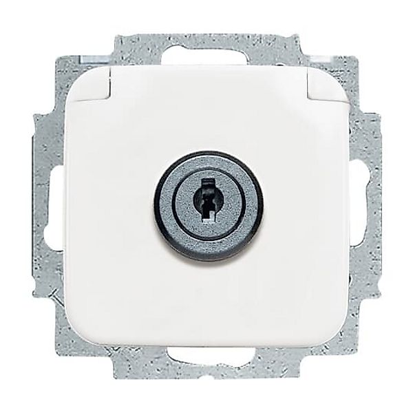 Busch-Jaeger Steckdosen-Einsatz aws 20 EUKSL-214 günstig online kaufen