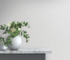 Bricoflor Einfarbige Vliestapete in Grau günstig online kaufen