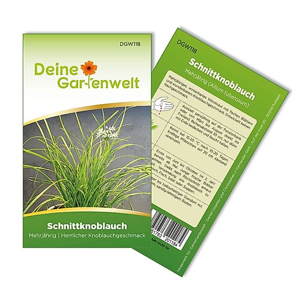 Deine Gartenwelt Schnittknoblauch Mehrjährig Samen günstig online kaufen