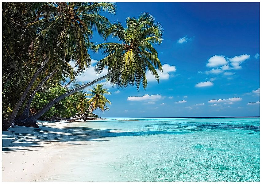 Wallarena Fototapete Strand Palmen Natur Vlies Tapete Wohnzimmer Schlafzimm günstig online kaufen