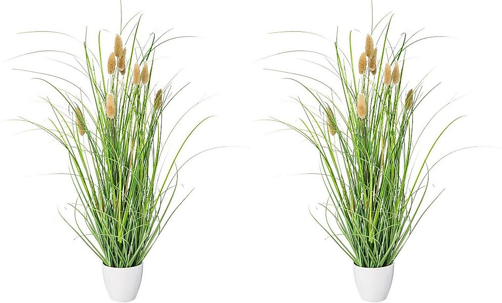 Kunstgras Grasbusch Lagurus Gras, Creativ green, Höhe 50 cm günstig online kaufen