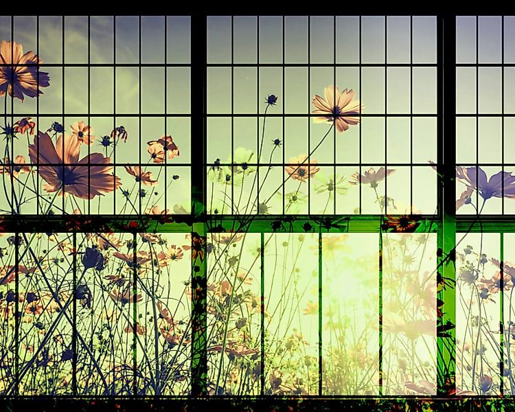 Fototapete "meadow 2" 4,00x2,70 m / Strukturvlies Klassik günstig online kaufen