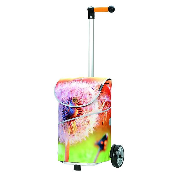 Andersen Einkaufstrolley Unus Shopper MIX A13, günstig online kaufen