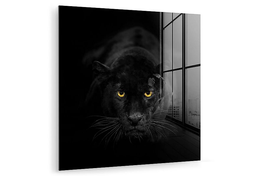 MuchoWow Acrylglasbild Panther - Tiere - Schwarz - Augen, Inkl. Aufhängung, günstig online kaufen
