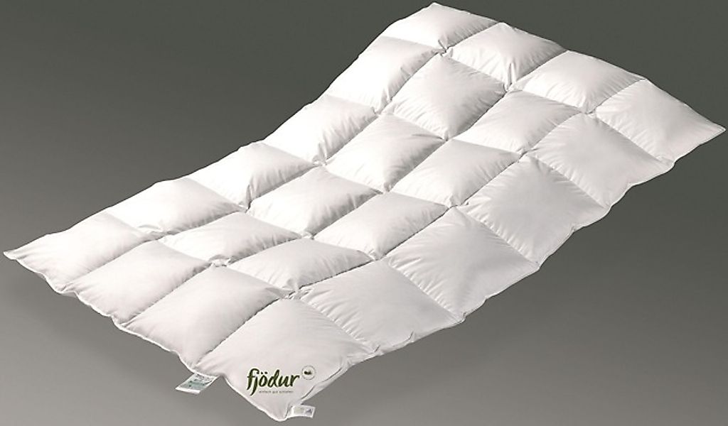fjödur Federbettdecke »Fabiennes Basic, Bettdecken für Winter, Decke« warm günstig online kaufen