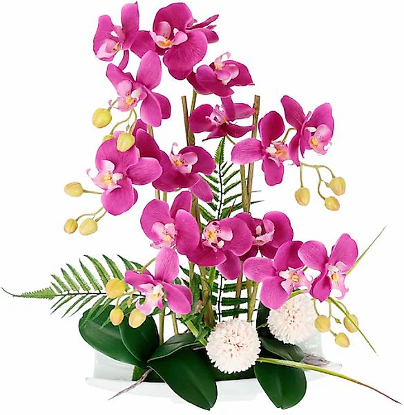 I.GE.A. Kunstblume »Orchideen« günstig online kaufen