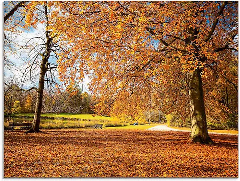 Artland Glasbild »Herbst bei Schlosses Nymphenburg« Wiesen & Bäume 1 Stk. t günstig online kaufen