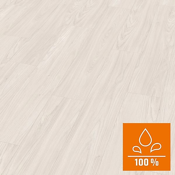 EGGER Laminat EL1003 Sheffield Akazie weiss, günstig online kaufen