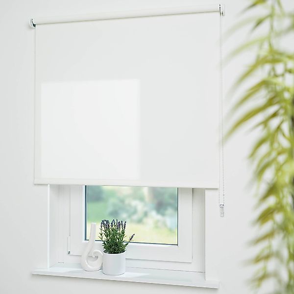 Seitenzugrollo Uni, Liedeco, Lichtschutz, mit Bohren, günstig online kaufen