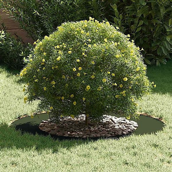 vidaXL Blumentopf Flache Baumringe 5 pcs günstig online kaufen