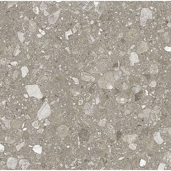 United Tile und Mosaic Bodenfliese Terra Feinsteinzeug Taupe 60 cm x 60 cm günstig online kaufen