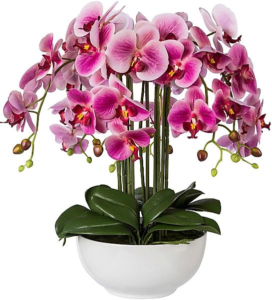 Kunstpflanze Orchidee, Creativ green, Höhe 54 günstig online kaufen