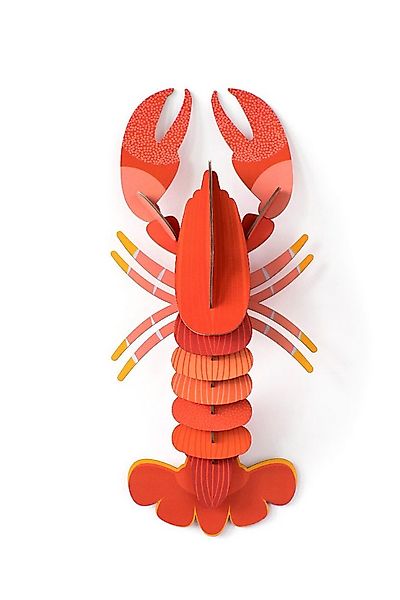 studio ROOF Wanddekoobjekt 3D Roter Hummer (1 St), Zum Zusammenstecken günstig online kaufen