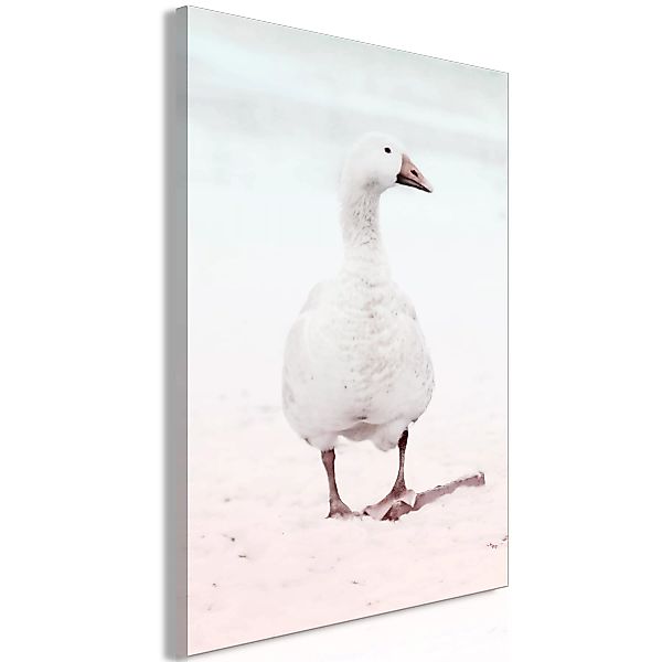 Wandbild - Winter Duck (1 Part) Vertical günstig online kaufen