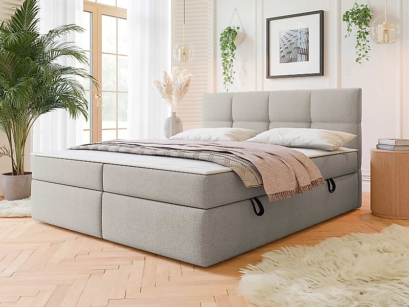 MIRJAN24 Boxspringbett Figaro (mit zwei Bettkästen), günstig online kaufen