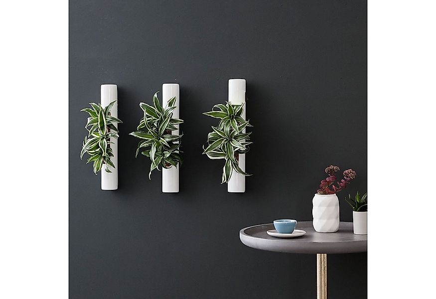 Flowerbox Wanddekoobjekt 3er-Set Wandbegrünung Tube günstig online kaufen