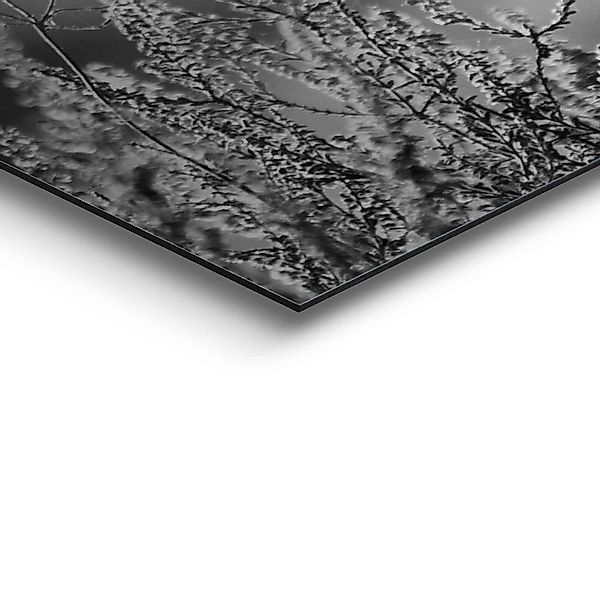 Reinders! Wandbild »Wandbild Highlander Bulle Tiermotiv - Nahaufnahme - Hoc günstig online kaufen