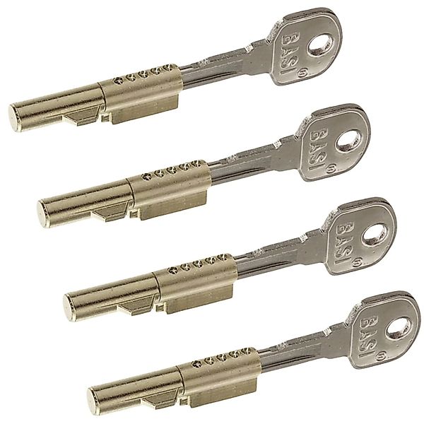 Basi - Schlüssellochsperrer - SS 12 - SET - Gleichschließend - je 2 Schlüss günstig online kaufen