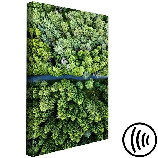 Wandbild Road Through Forest (1 Part) Vertical XXL günstig online kaufen