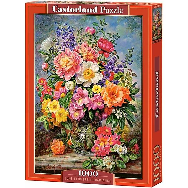 Castorland Puzzle Puzzle Juni Blumen 1000 günstig online kaufen