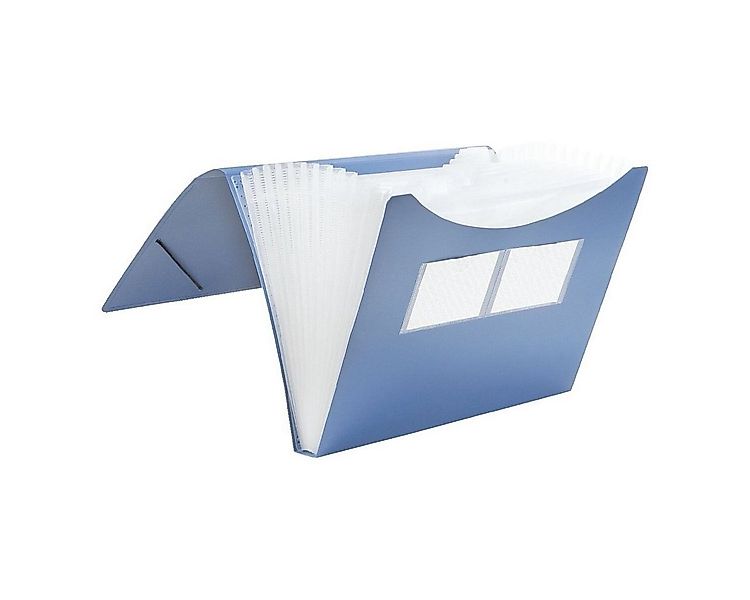 FOLDERSYS Fächermappe, 12 Fächer, DIN A4 günstig online kaufen