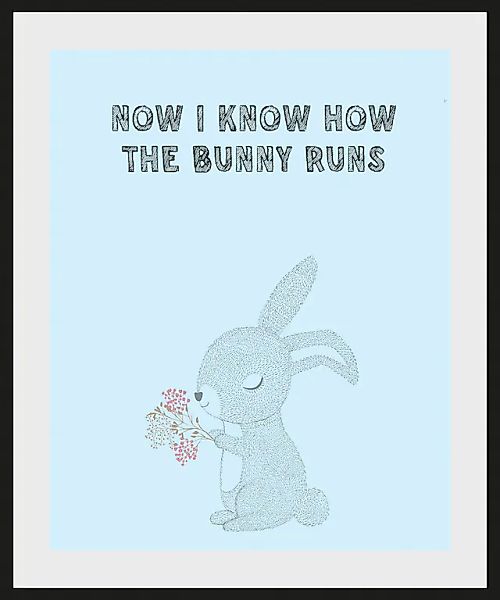 queence Bild »NOW I KNOW HOW THE BUNNY RUNS«, Schriftzug-Humor-Sprüche & Te günstig online kaufen