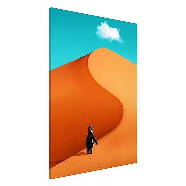Magnettafel Natur & Landschaft - Hochformat 2:3 Wüste mit Pinguin günstig online kaufen