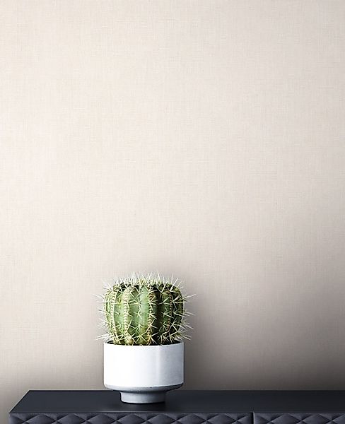 Newroom Vliestapete, Beige Tapete Uni Einfarbig günstig online kaufen