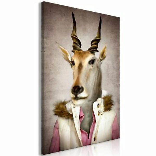 artgeist Wandbild Antelope Jessica (1 Part) Vertical mehrfarbig Gr. 40 x 60 günstig online kaufen