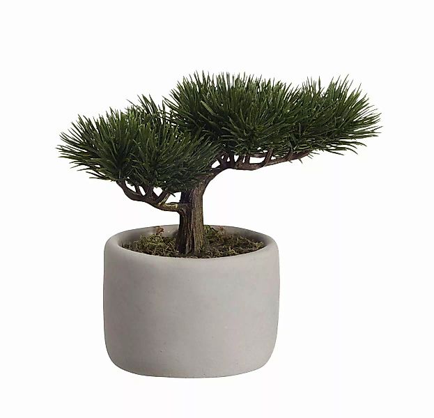 ASA Kunstpflanzen & -blumen Bonsai Mini Kiefer 24,5 x 17,5 x 24,5 cm (grün) günstig online kaufen