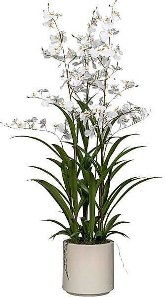 Kunstorchidee Orchidee Oncydie, Creativ green, Höhe günstig online kaufen