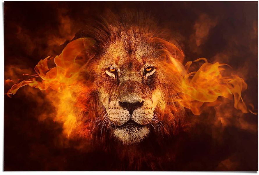 Reinders Poster "Löwe in Flammen" günstig online kaufen