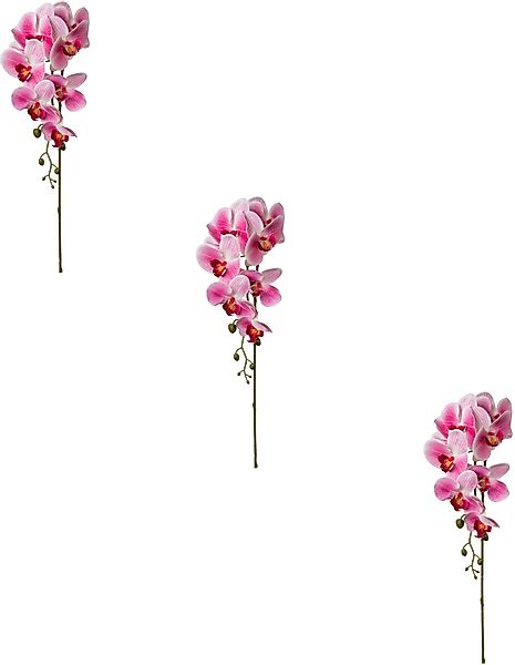 Kunstblume Orchidee Phalaenopsis Orchidee Phalaenopsis, Creativ günstig online kaufen