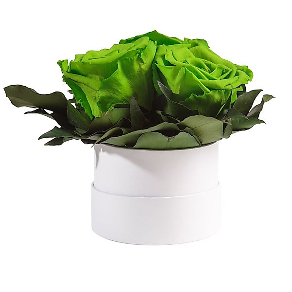 Kunstblume Infinity Rosenbox weiß rund 3 günstig online kaufen
