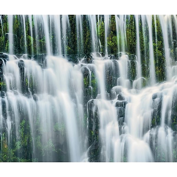 Komar Fototapete Vlies Ensemble of Veils  300 x 250 cm günstig online kaufen