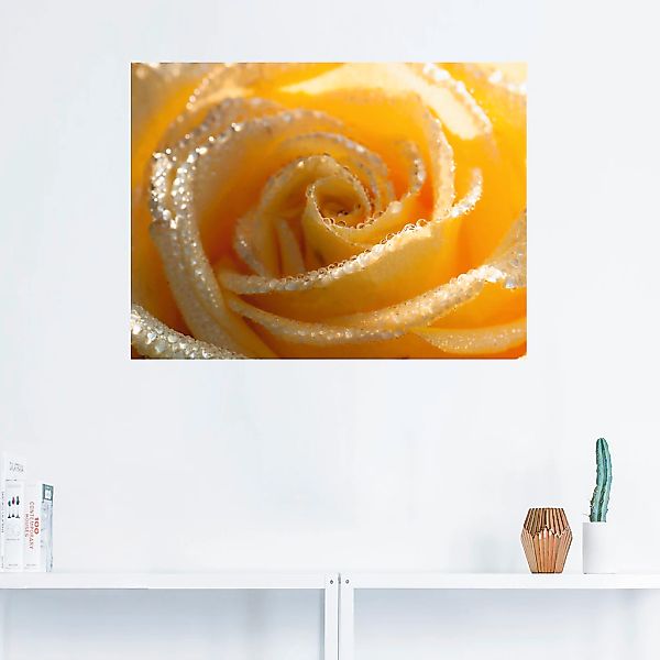 Artland Wandbild "Gelbe Rose Makro", Blumen, (1 St.), als Leinwandbild, Wan günstig online kaufen