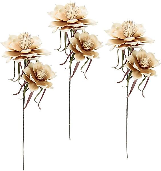 Kunstblume Soft-Magnolie, I.GE.A., Höhe 84 cm, 3er Set günstig online kaufen