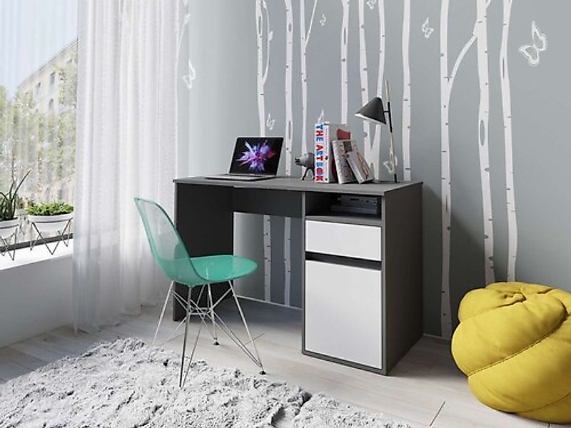 INOSIGN Schreibtisch »Tinsley«, mit Schublade, und Tür, Breite 120 x53 cm günstig online kaufen