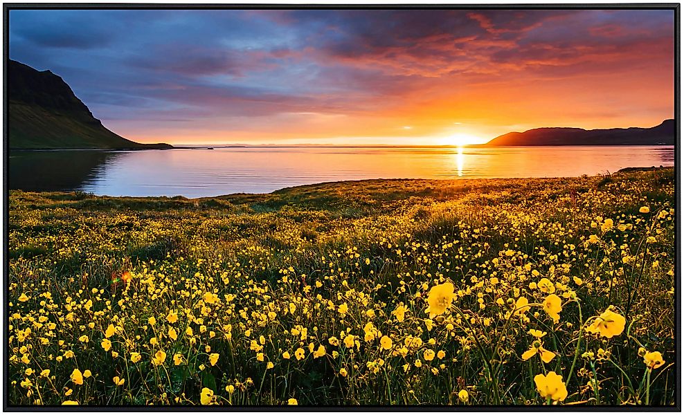 Papermoon Infrarotheizung »Blumenfeld Kirkjufell Island«, sehr angenehme St günstig online kaufen
