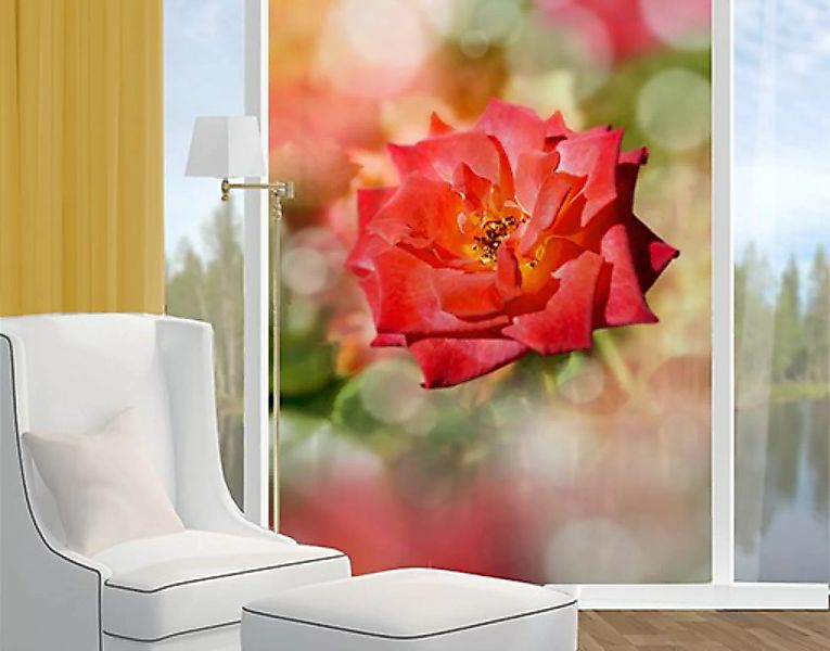 Fensterfolie Shining Rose günstig online kaufen