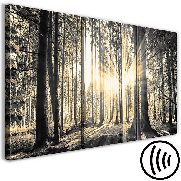 Wandbild Forest Sun (3 Parts) XXL günstig online kaufen