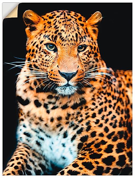 Artland Wandbild "Wütender wilder Leopard", Wildtiere, (1 St.), als Alubild günstig online kaufen